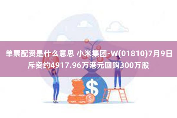 单票配资是什么意思 小米集团-W(01810)7月9日斥资约4917.96万港元回购300万股