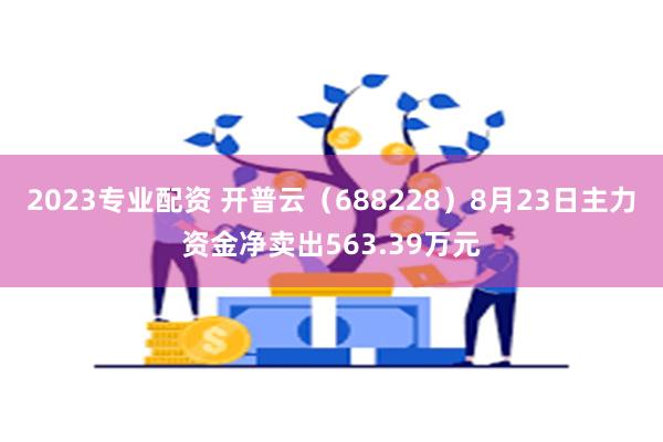 2023专业配资 开普云（688228）8月23日主力资金净卖出563.39万元