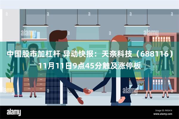 中国股市加杠杆 异动快报：天奈科技（688116）11月11日9点45分触及涨停板