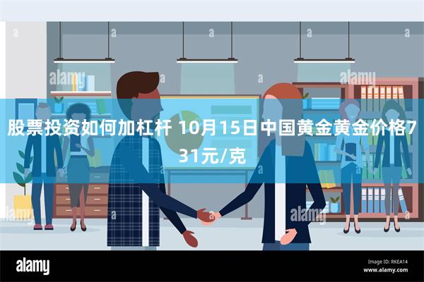 股票投资如何加杠杆 10月15日中国黄金黄金价格731元/克