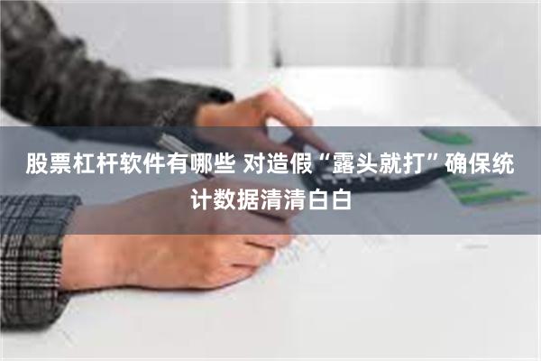 股票杠杆软件有哪些 对造假“露头就打”确保统计数据清清白白