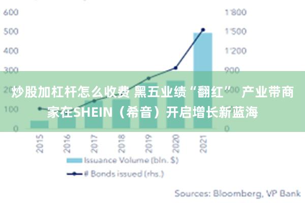 炒股加杠杆怎么收费 黑五业绩“翻红”  产业带商家在SHEIN（希音）开启增长新蓝海