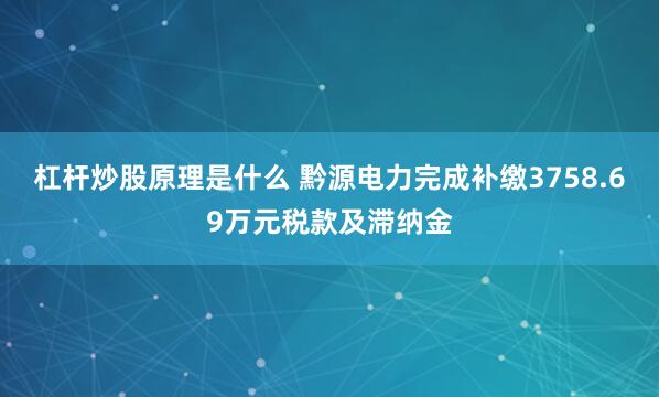 杠杆炒股原理是什么 黔源电力完成补缴3758.69万元税款及滞纳金