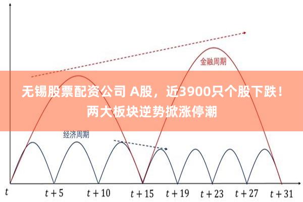 无锡股票配资公司 A股，近3900只个股下跌！两大板块逆势掀涨停潮