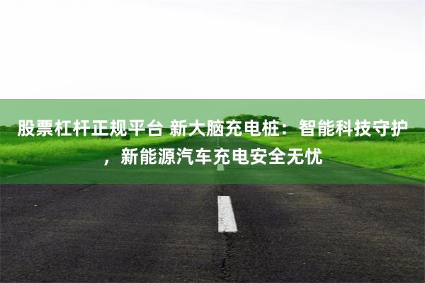 股票杠杆正规平台 新大脑充电桩：智能科技守护，新能源汽车充电安全无忧