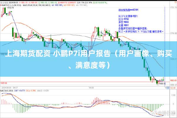 上海期货配资 小鹏P7i用户报告（用户画像、购买、满意度等）