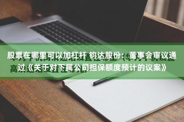 股票在哪里可以加杠杆 钧达股份：董事会审议通过《关于对下属公司担保额度预计的议案》