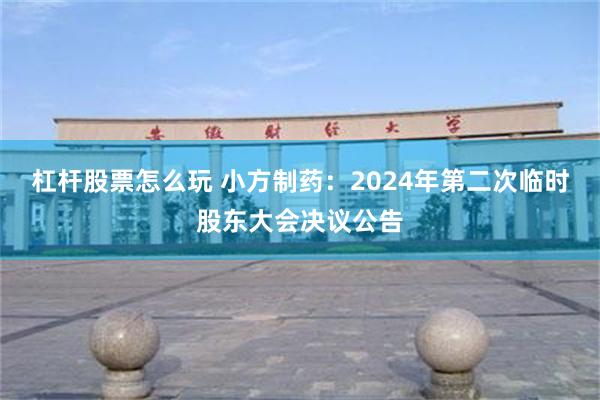 杠杆股票怎么玩 小方制药：2024年第二次临时股东大会决议公告