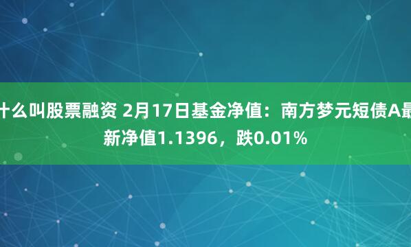 什么叫股票融资 2月17日基金净值：南方梦元短债A最新净值1.1396，跌0.01%