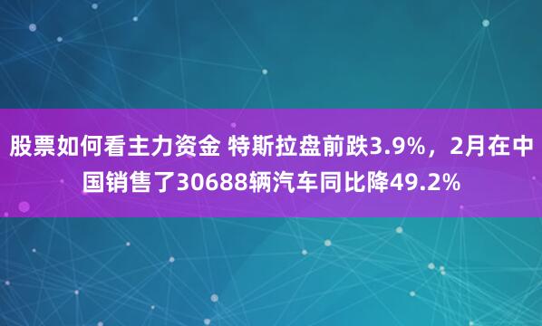 股票如何看主力资金 特斯拉盘前跌3.9%，2月在中国销售了30688辆汽车同比降49.2%