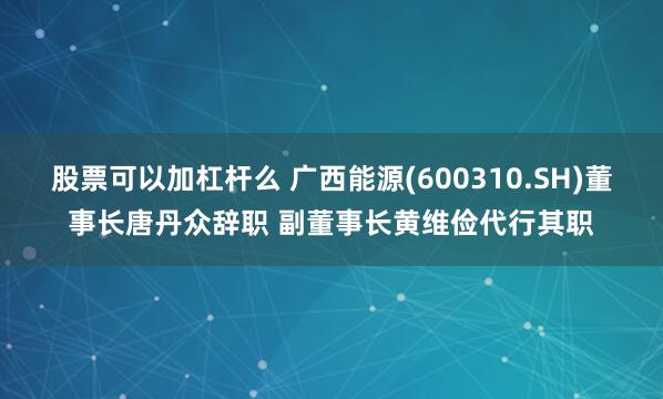 股票可以加杠杆么 广西能源(600310.SH)董事长唐丹众辞职 副董事长黄维俭代行其职